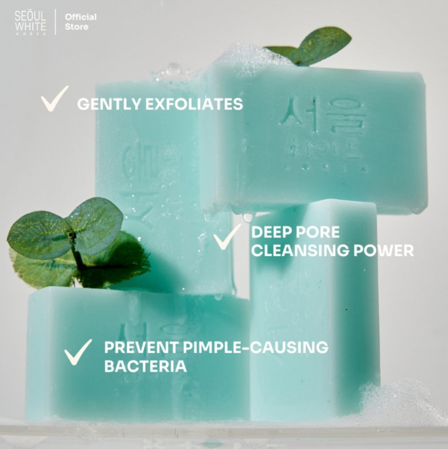 SeoulWhiteByeByeAcnePimple-FightingSoap60gx2-TeaTree&SulfurCleanser